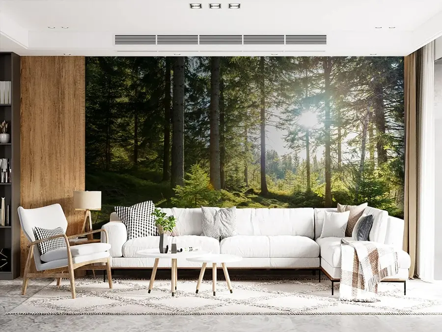 Fototapety Carkonoshe Mountains v Poľsku u80015