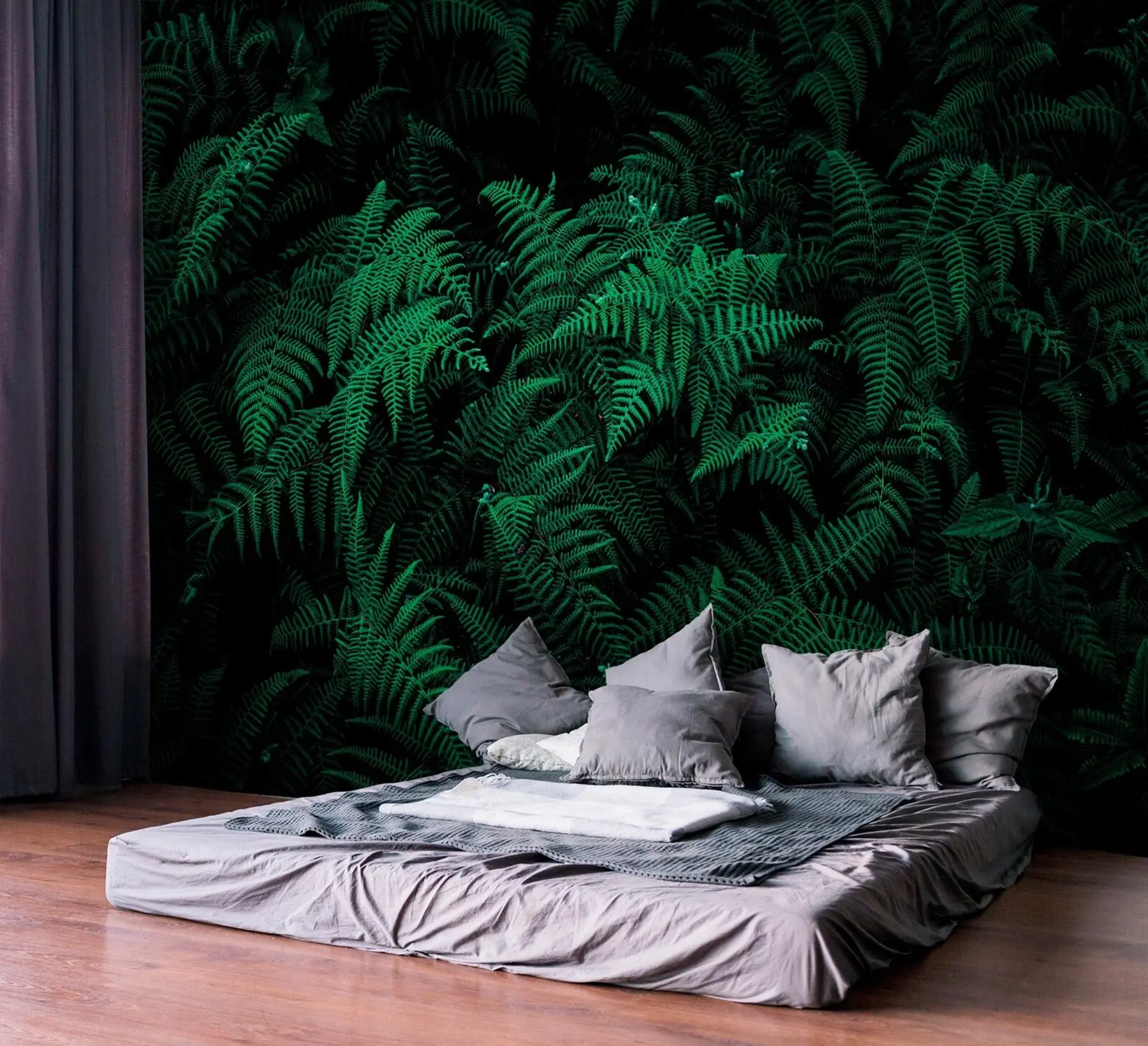 Fototapety Fern u73636