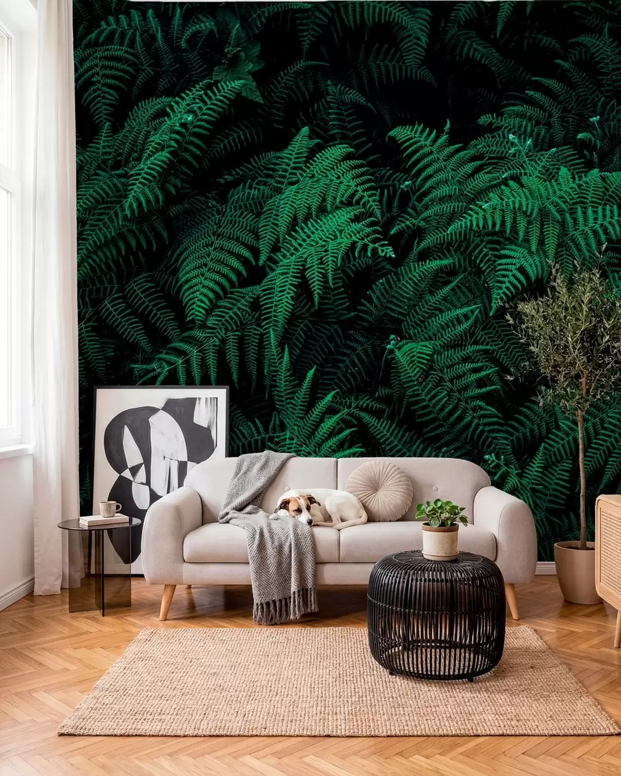 Fototapety Fern u73636