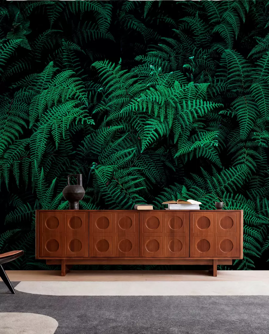 Fototapety Fern u73636