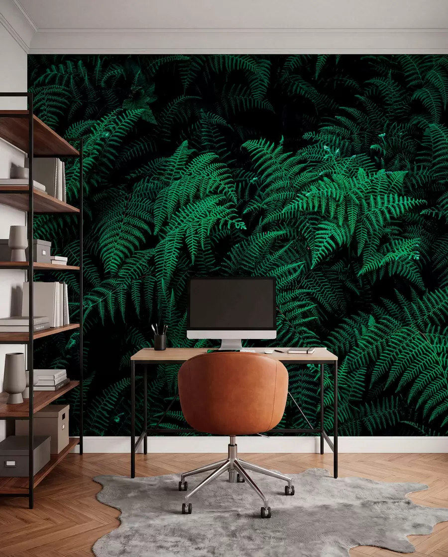 Fototapety Fern u73636