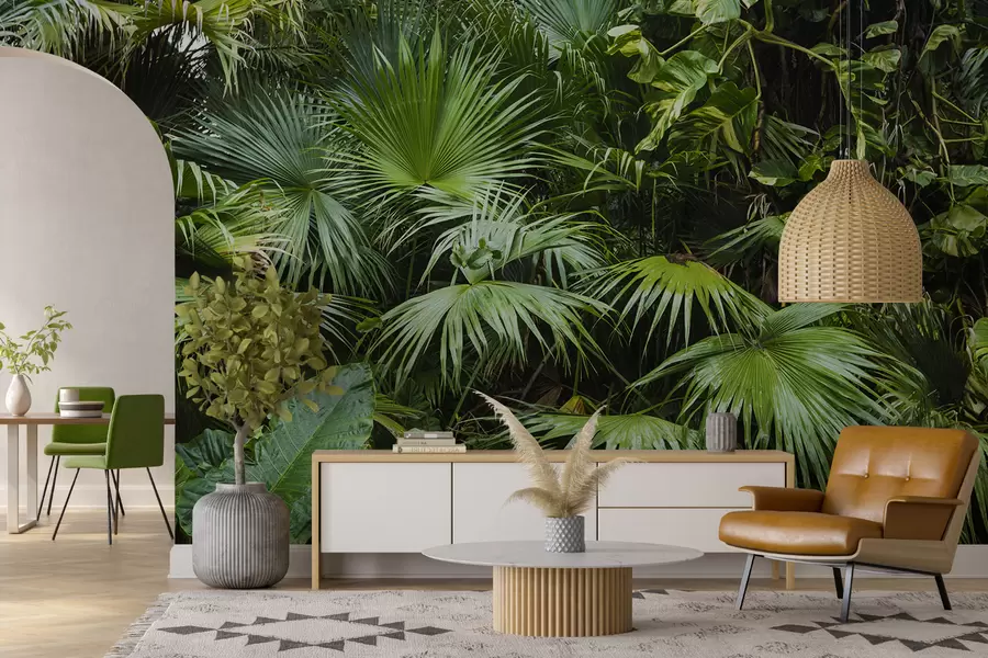 Fototapety Mokré lístie v džungli u93616