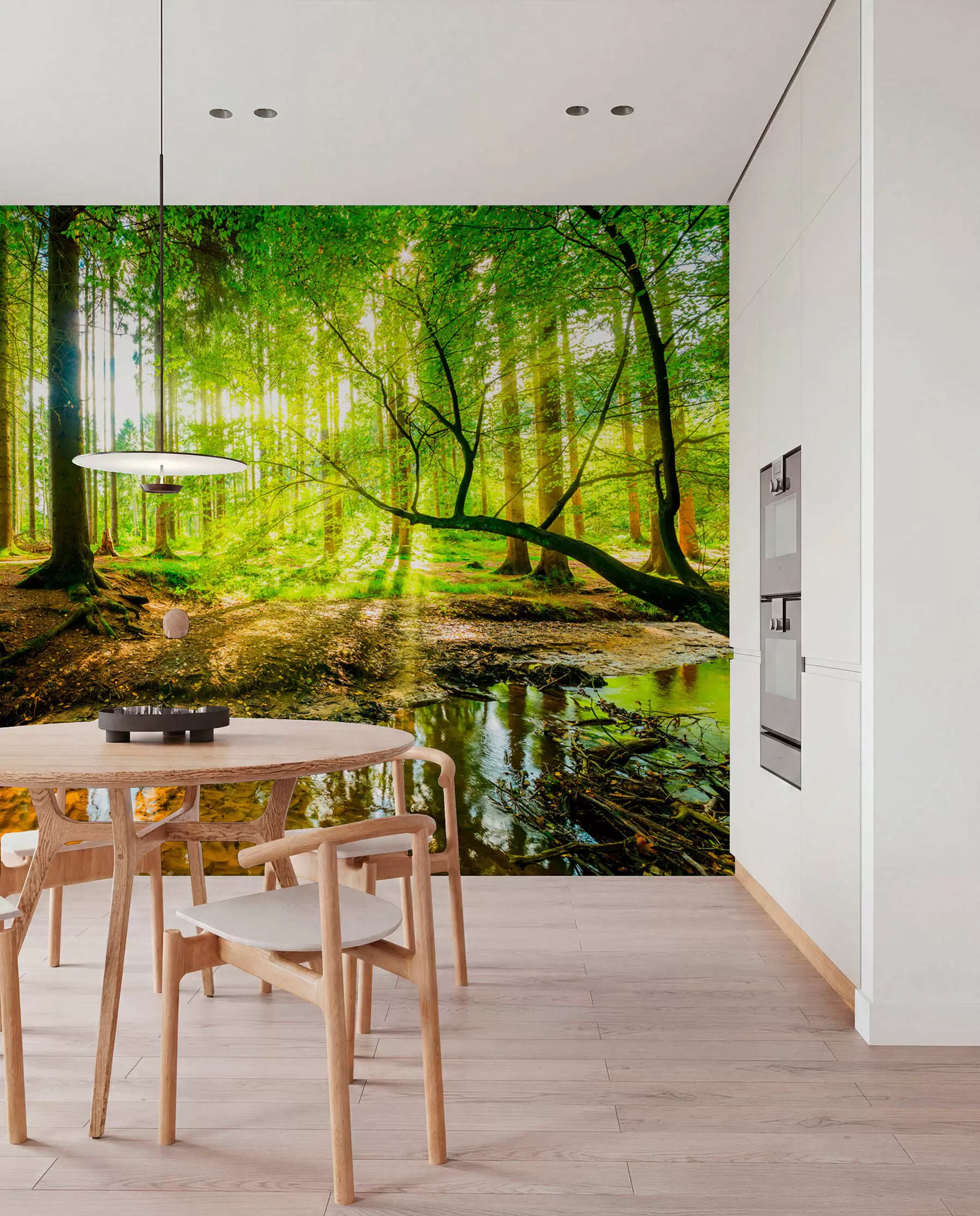 Fototapety Priehľadnosť lesného potoka u93621