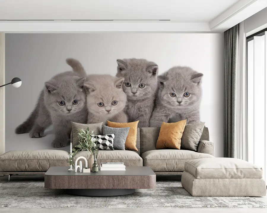 Fototapety Oko, mačka a mäsožravec u55076