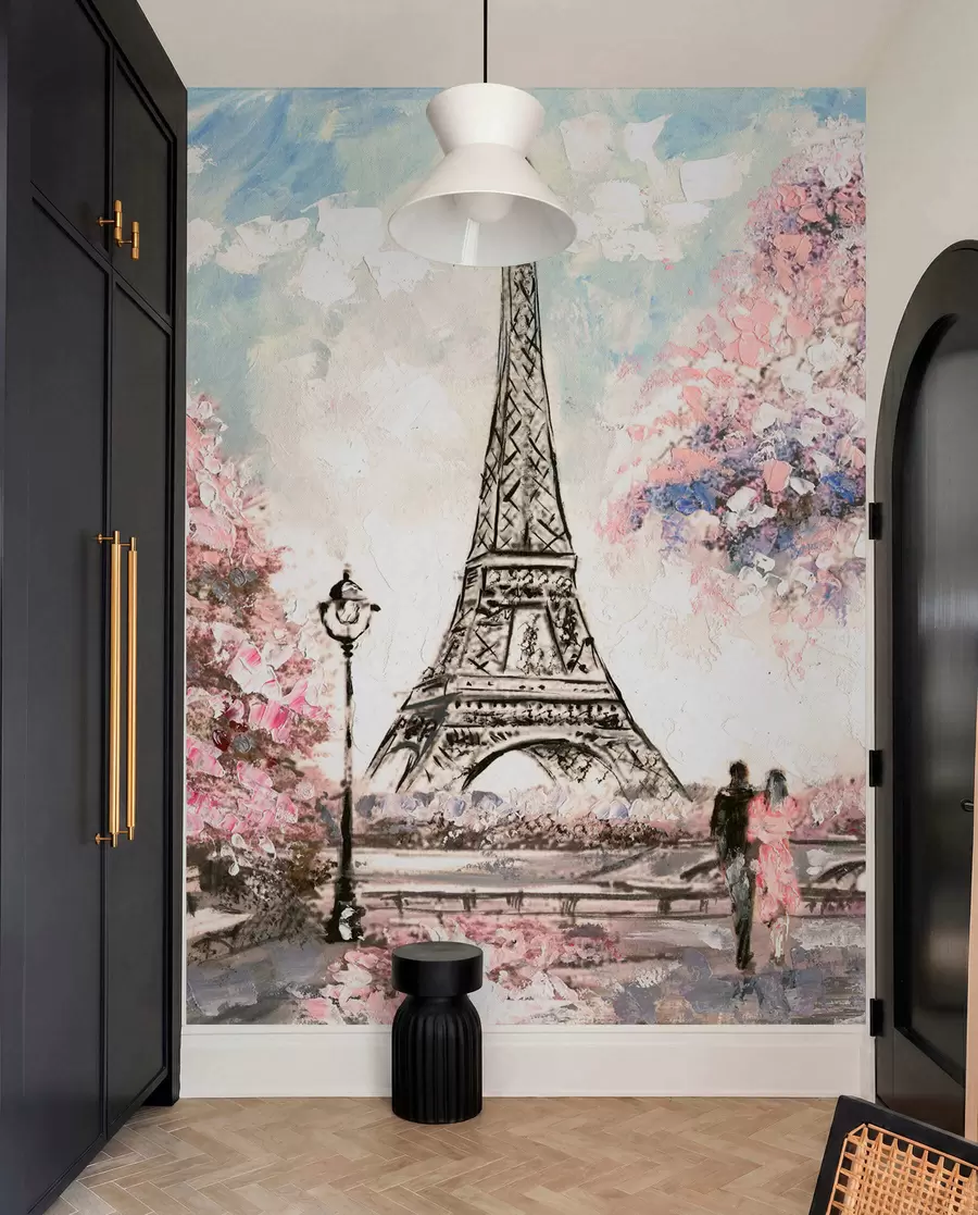 Fototapety Pohľad na ulicu Paríža u74631