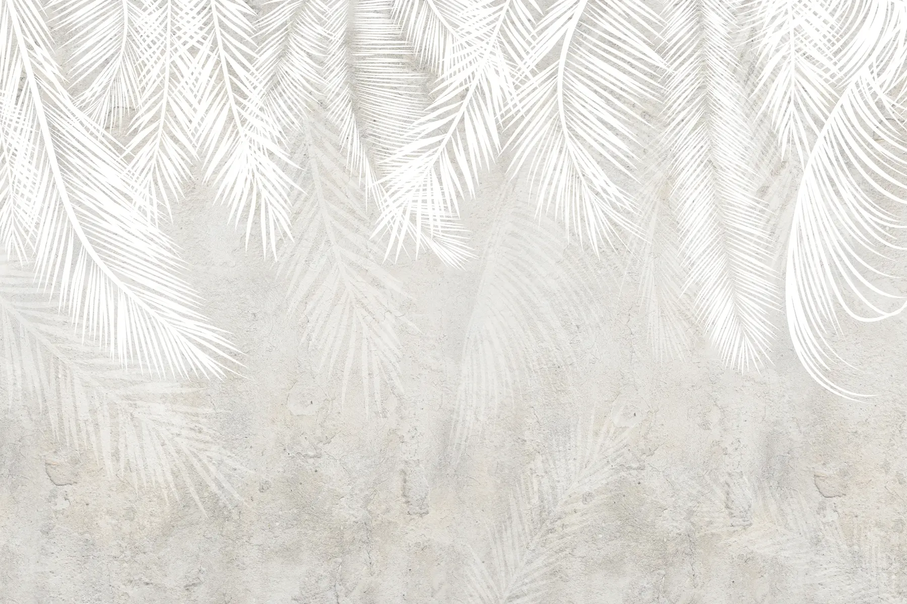 Fototapety Biele krehké palmové listy s grunge textúrou u94286