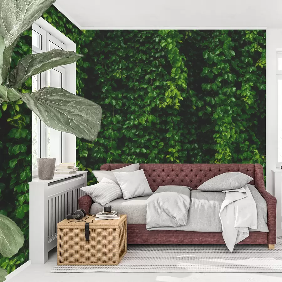 Fototapety tmavozelený tropický list u94381