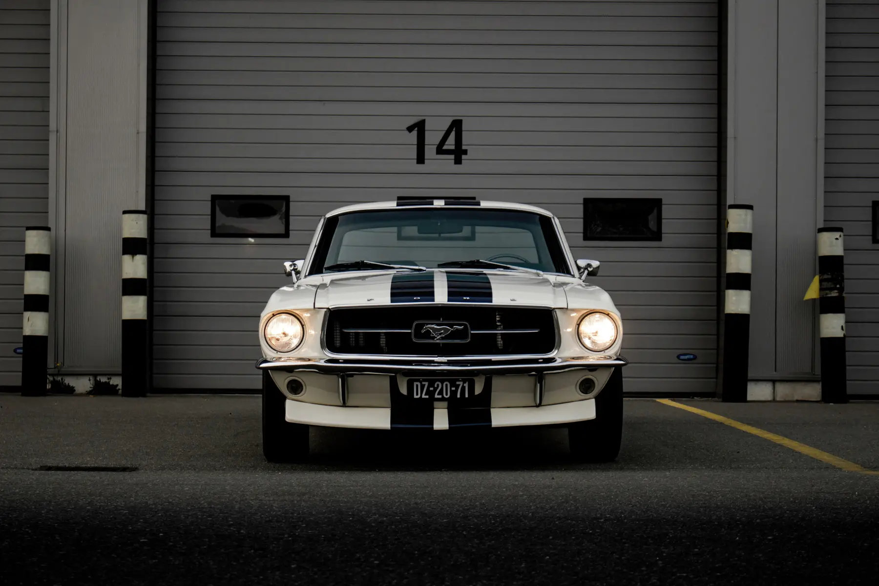 Fototapety ford Mustang 1970 u95536