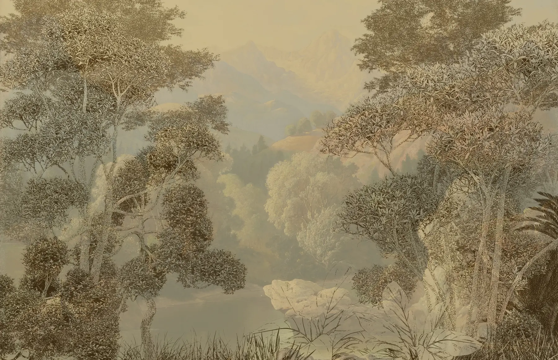 Fototapety Tropický les v hnedých tónoch u97403