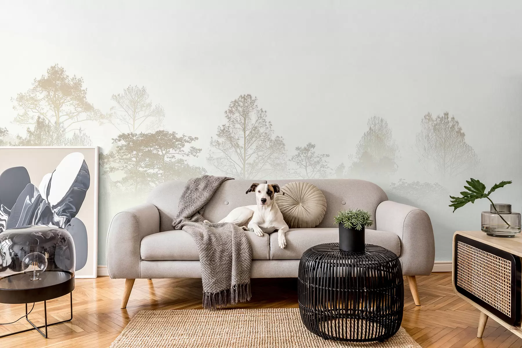 Fototapety Silueta hája v hustej bielej rannej hmle u97405