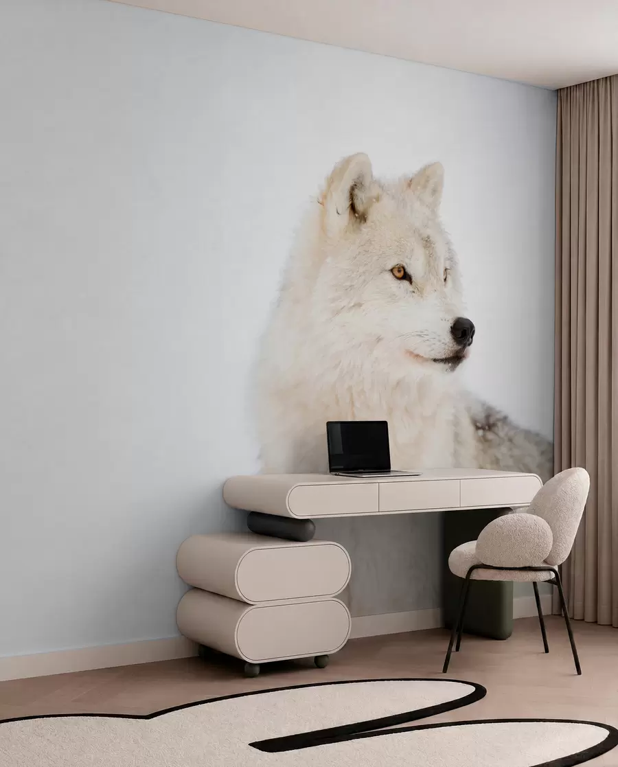 Fototapety Arktický vlk na bielom pozadí u98189