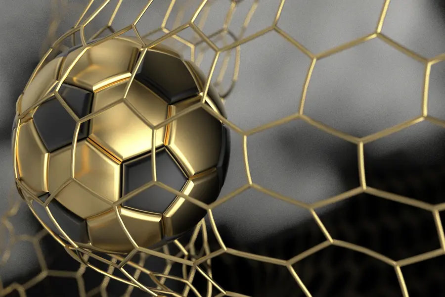 Fototapety Futbalová lopta v bránke u73010d3